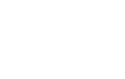 lisap-logo-white lisap-logo-white